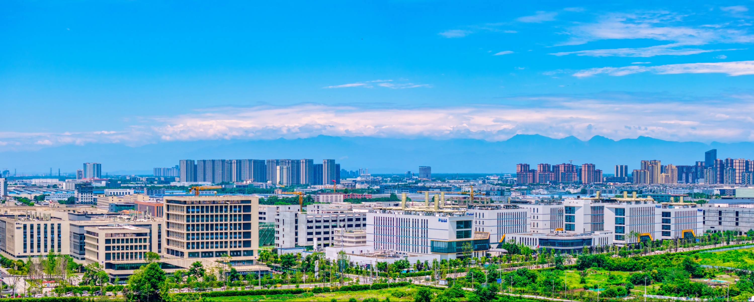 @记者老师，“趁手装备”你最pick哪一个？