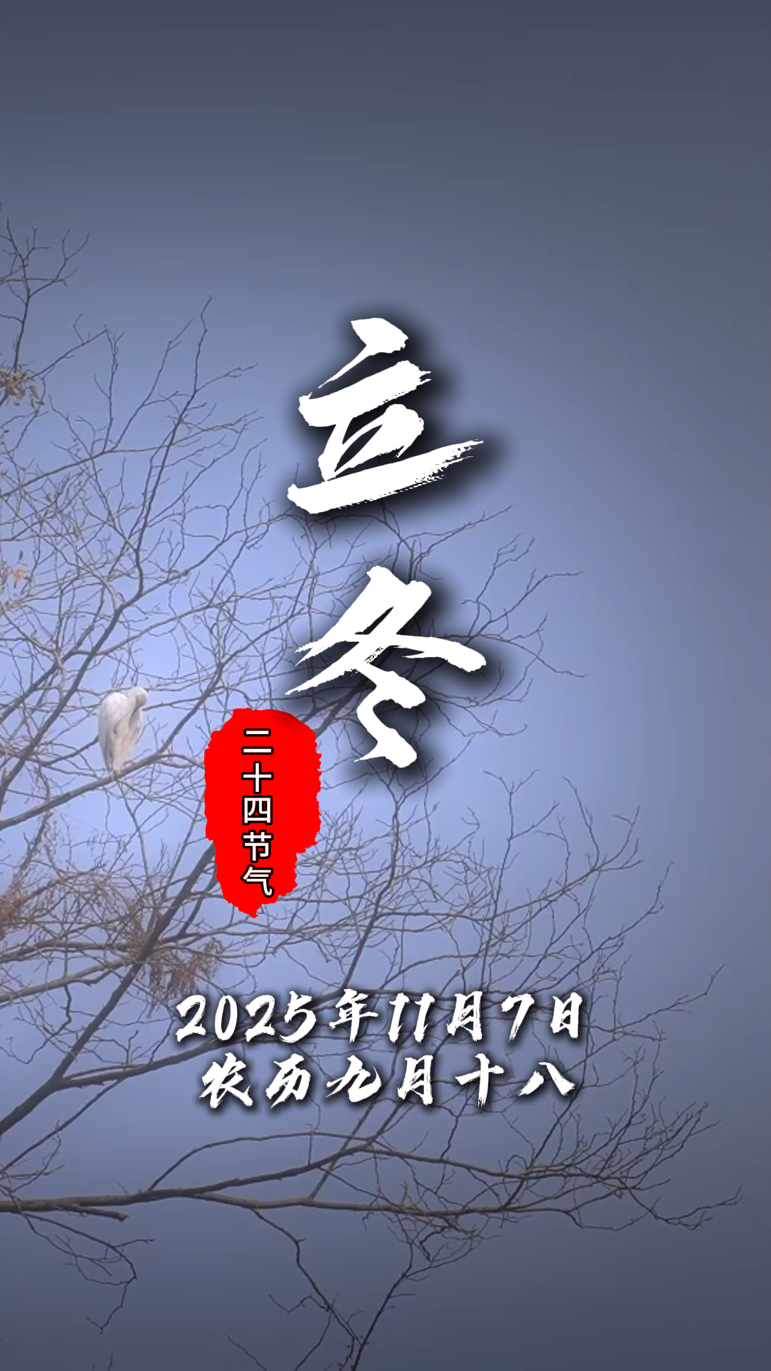 今日立冬#二十四节气#温江四季#这里是温江