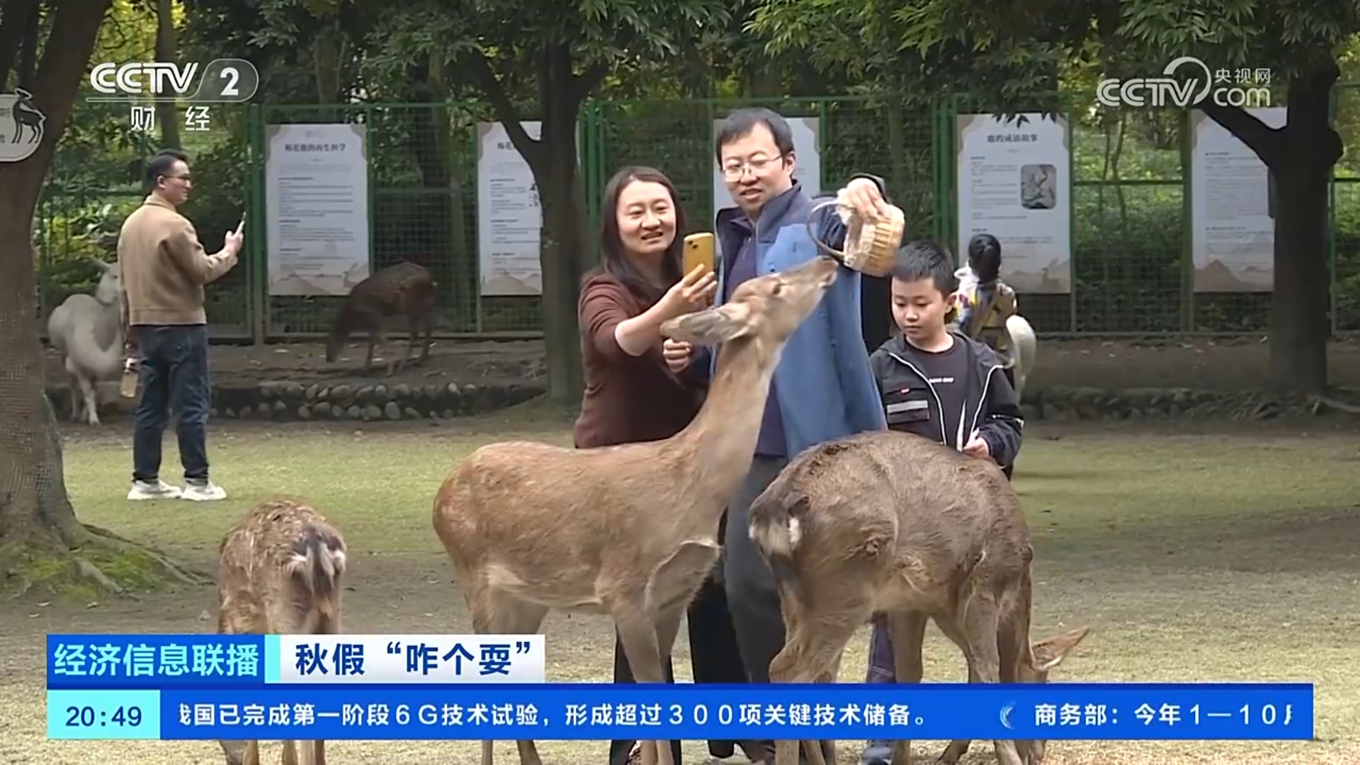 秋假耍温江，登上​央视大屏！