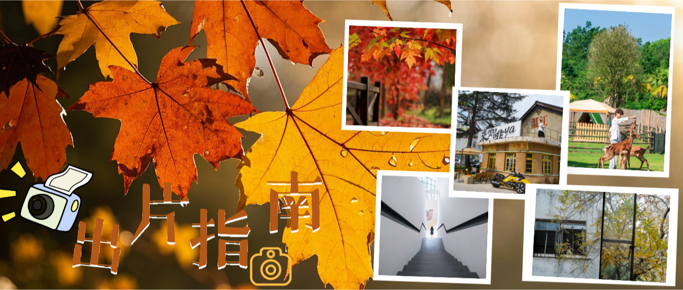 速速Get！温江初冬【出片指南】来啦~