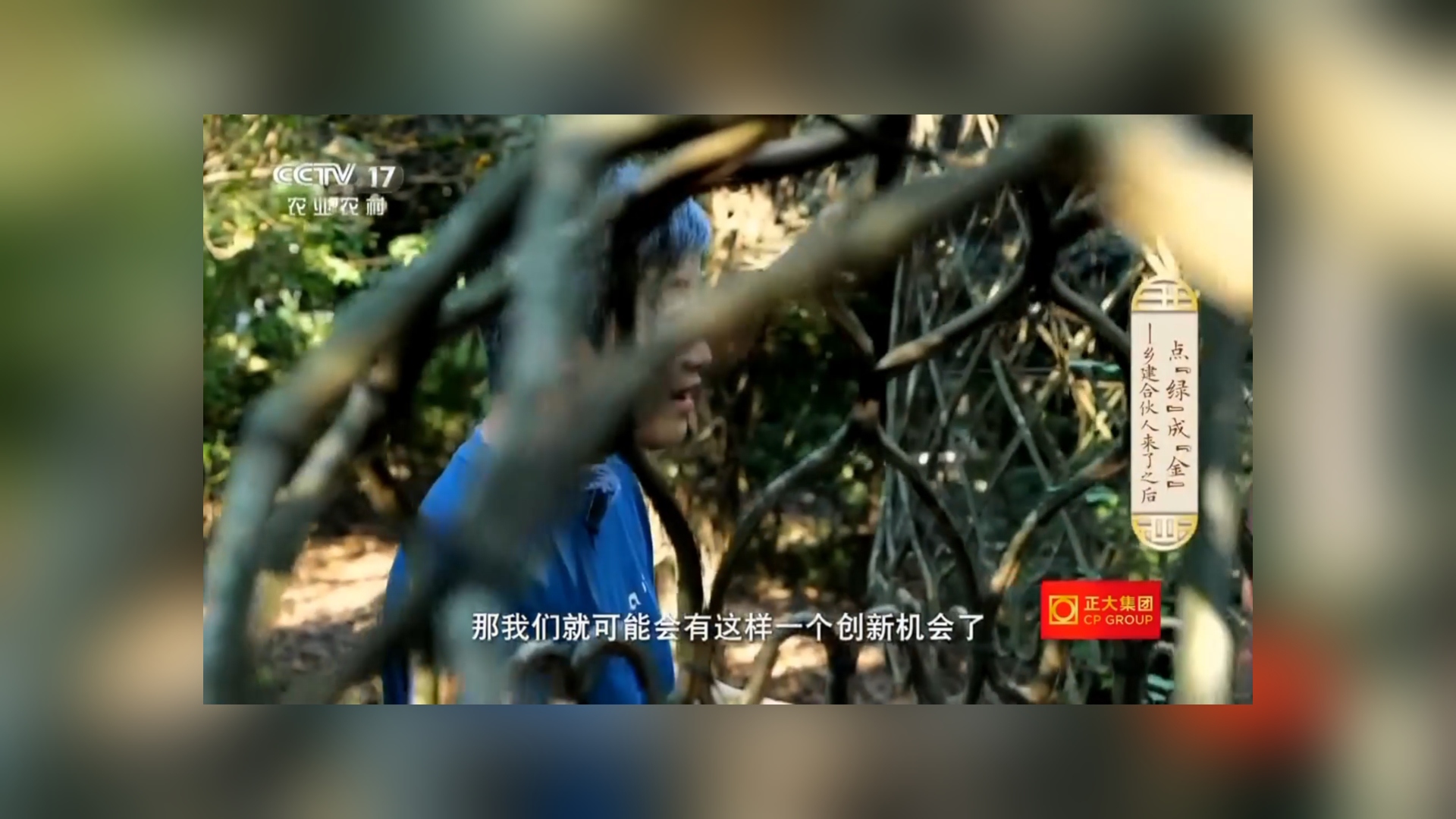 央视关注！“乡建合伙人”在温江点“绿”成“金”（三）