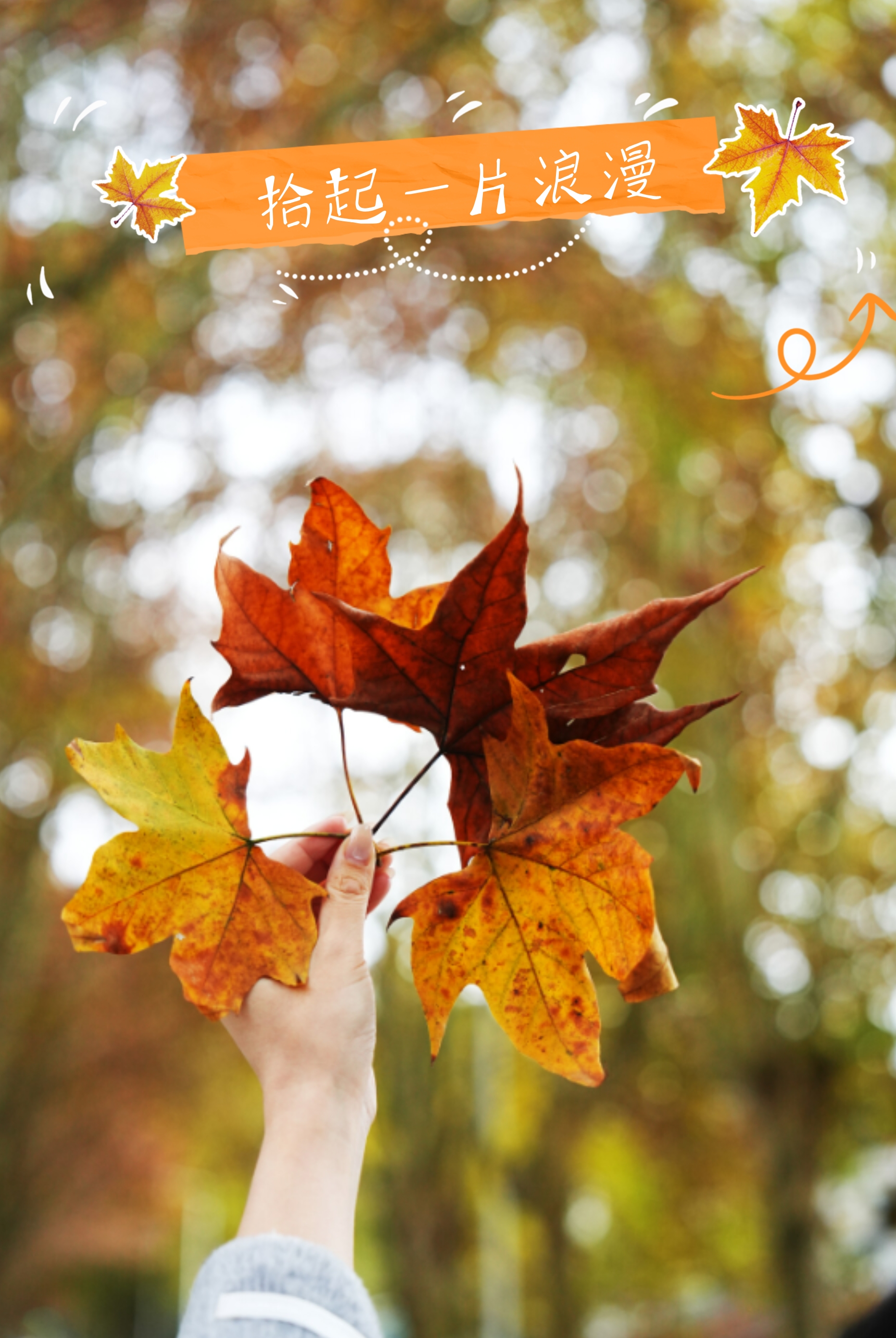 副本_副本_副本_秋日踏秋小红书封面__2025-11-21+10_22_17.png