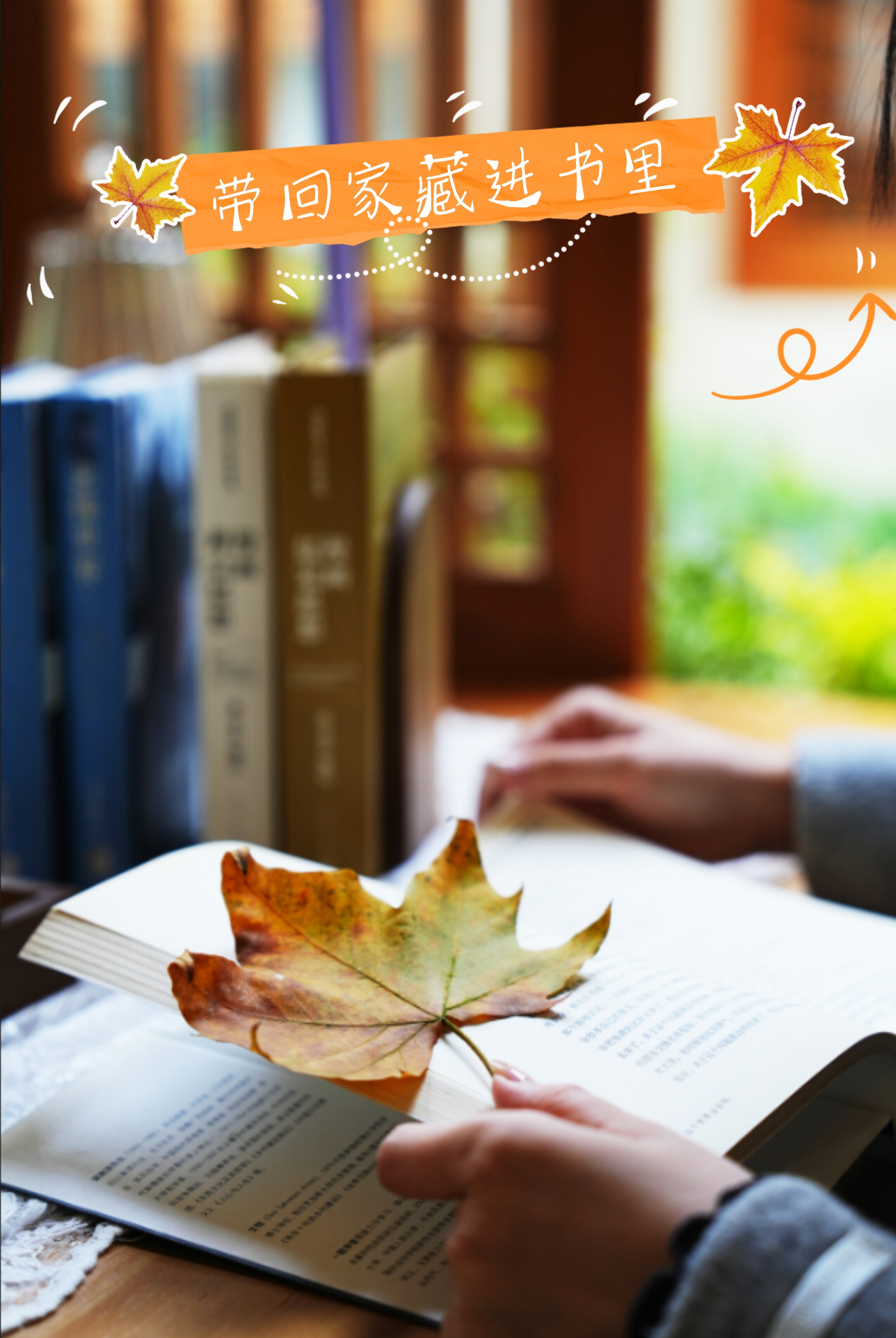 副本_副本_副本_副本_副本_秋日踏秋小红书封面__2025-11-20+15_05_55.png