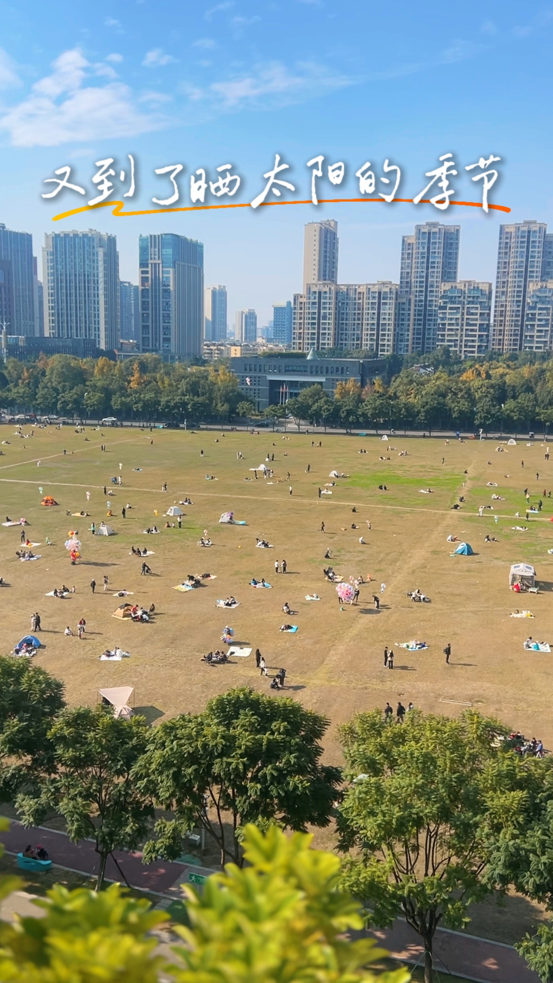 又到了晒太阳的季节
