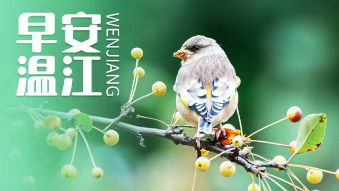 早安温江 | 自驾往川西注意！这些高速开启“冬管”