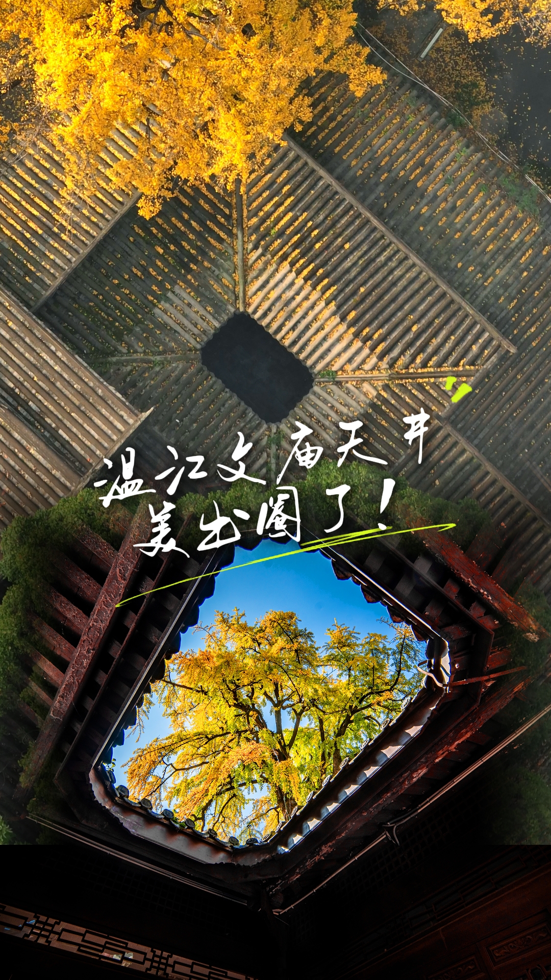 温江文庙天井美出圈了！