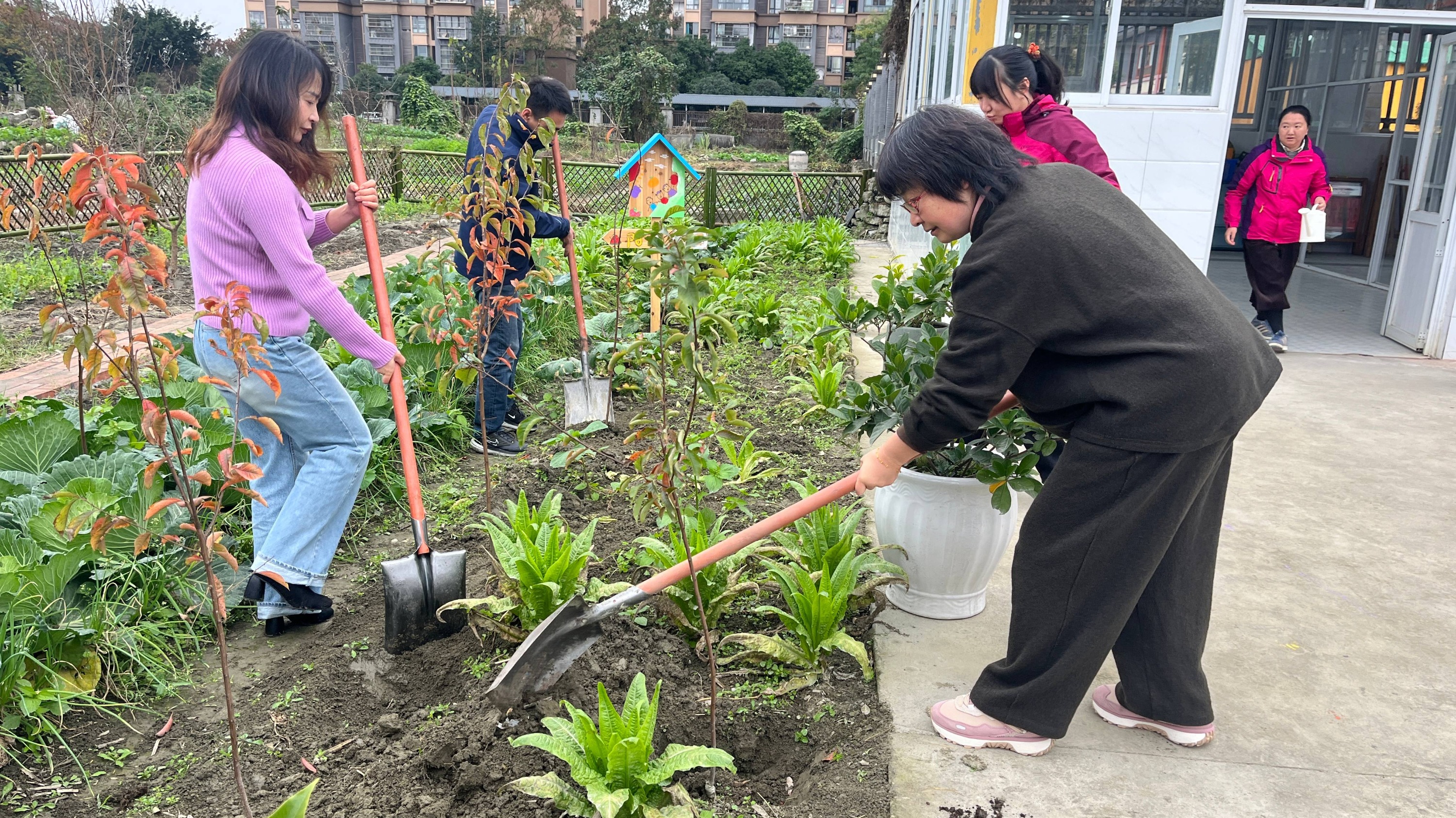 课堂搬进劳动基地，“无边界学习”重构自然生长