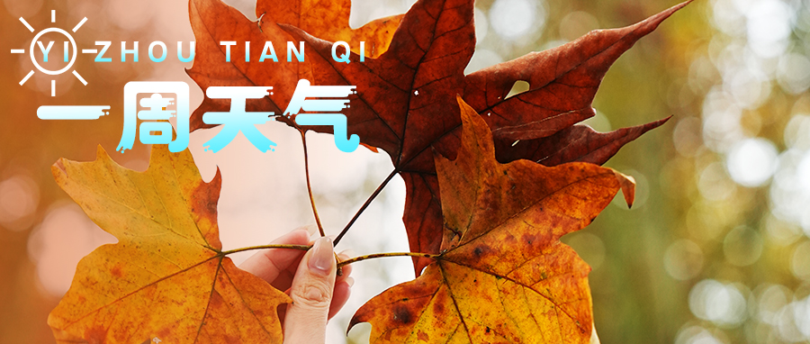  【一周天气】暖阳持续在线！但别忘了保暖→