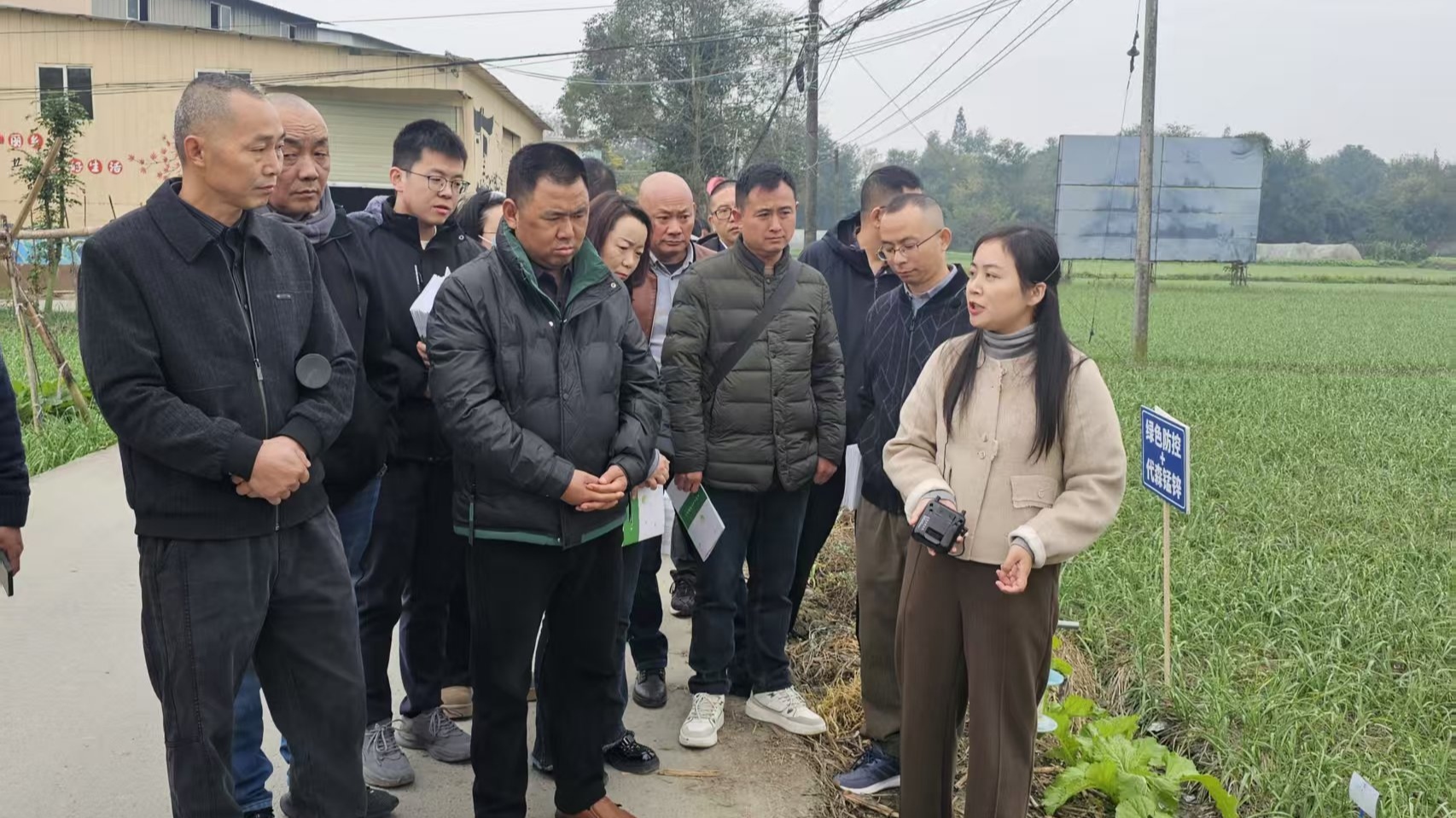 大蒜种植“秘籍”送到田间地头，这场实操培训干货满满