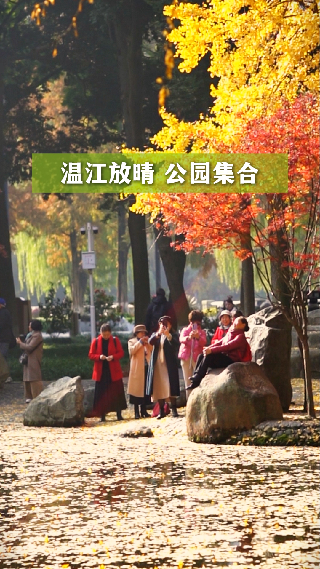 温江放晴 公园集合