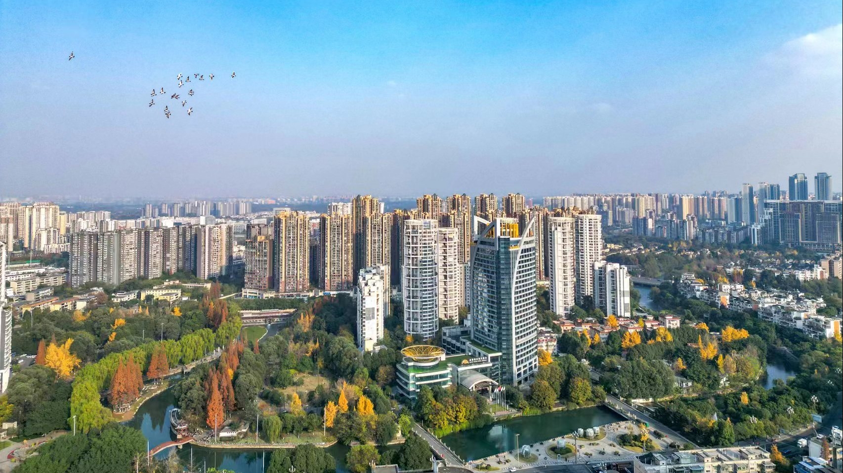 2025年温江区药学科普比赛举行