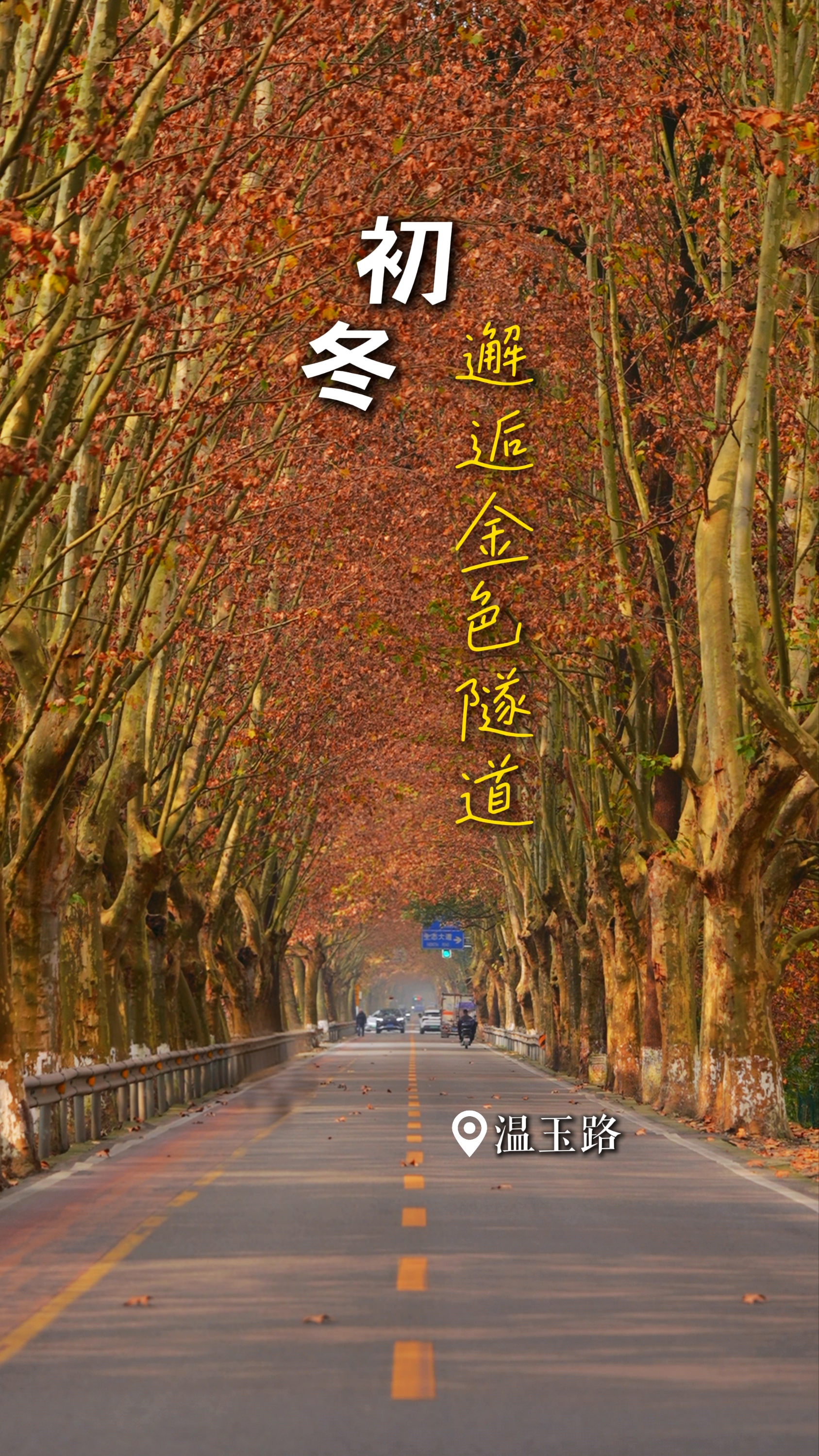 初冬，邂逅金色隧道