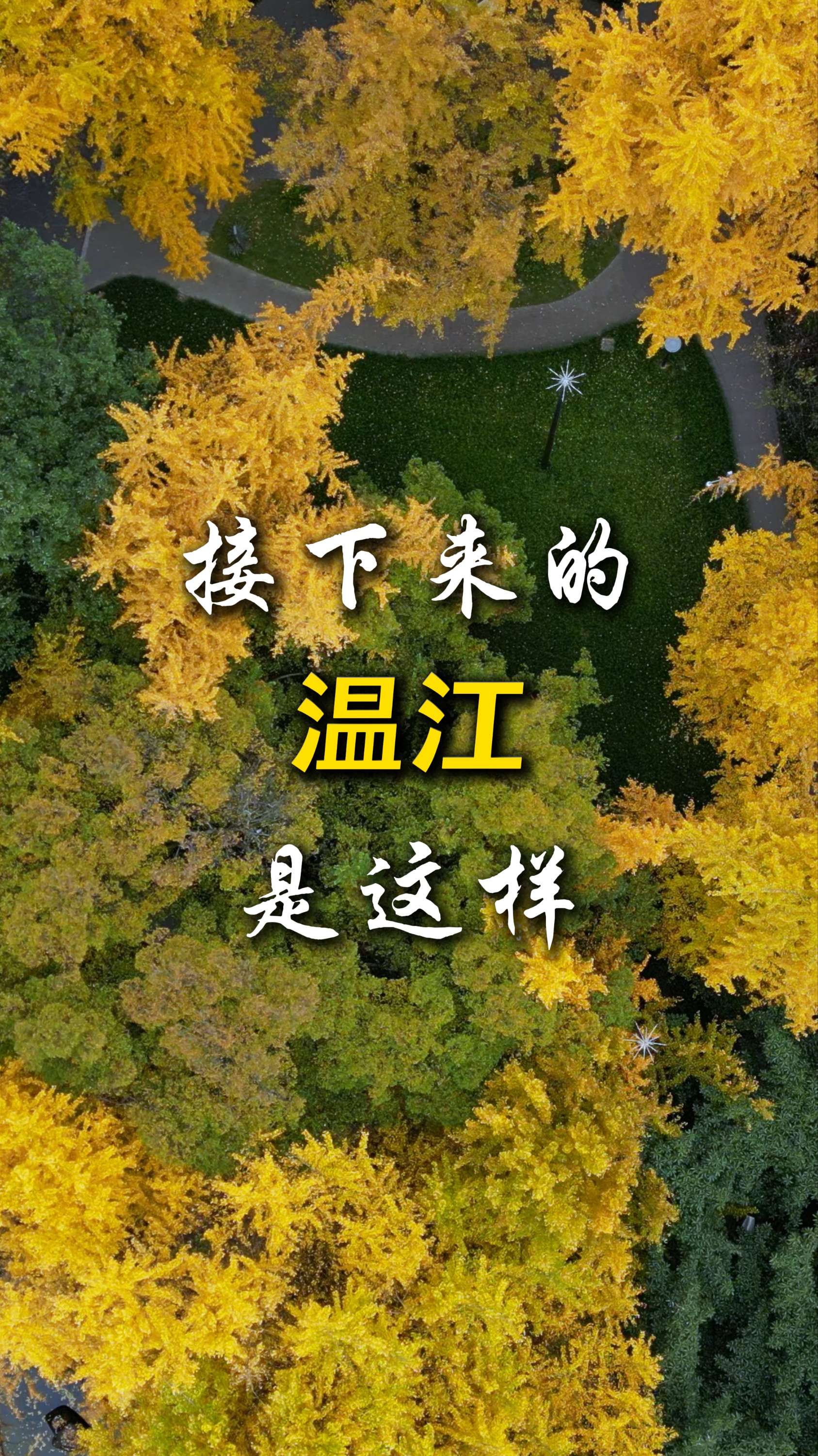 接下来的温江是这样～