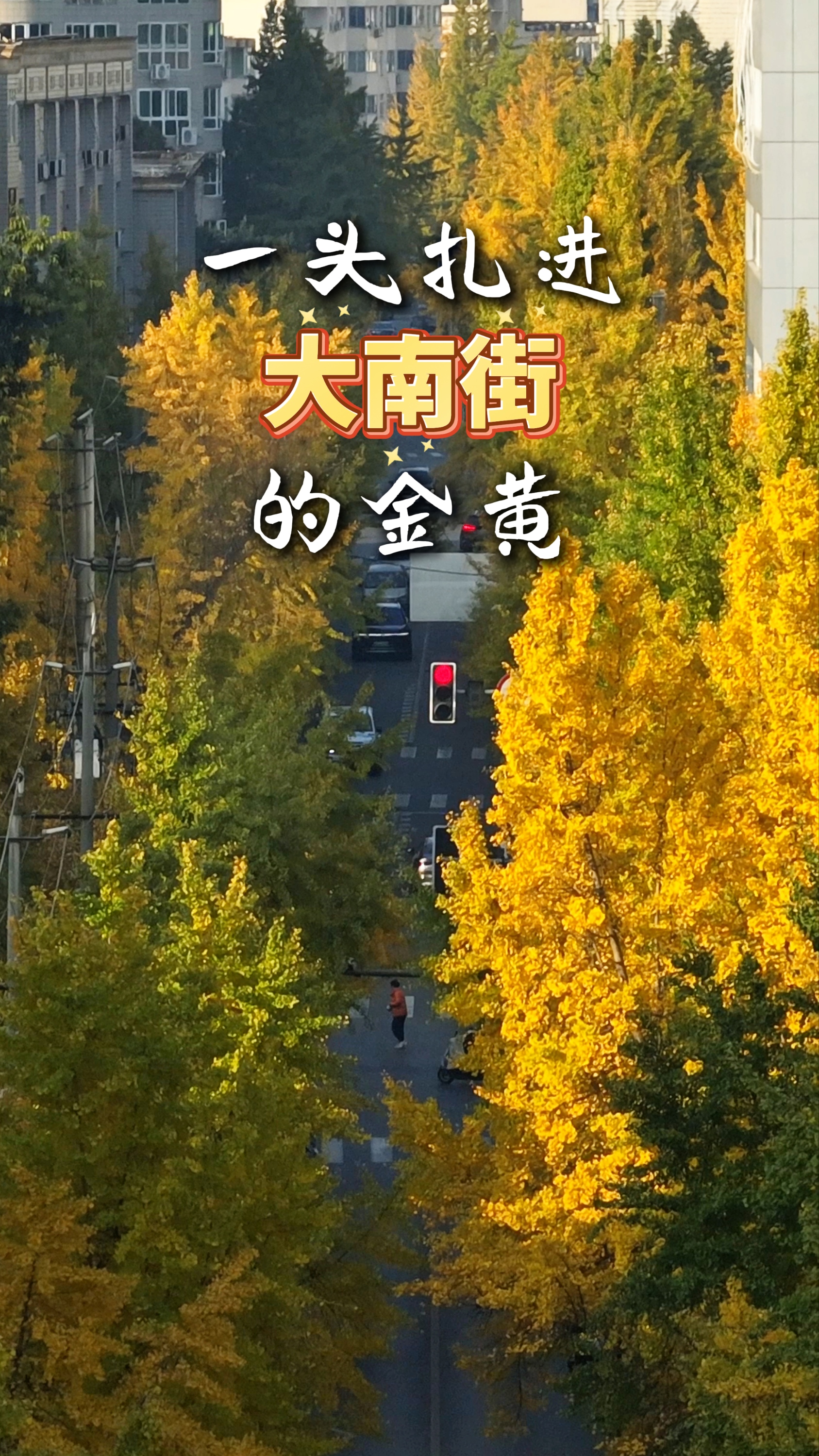 一头扎进大南街的金黄～