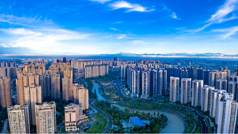 区第十九届人民政府第90次常务会议召开