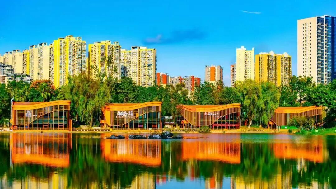 冬日温江有多惬意？央视来告诉你→