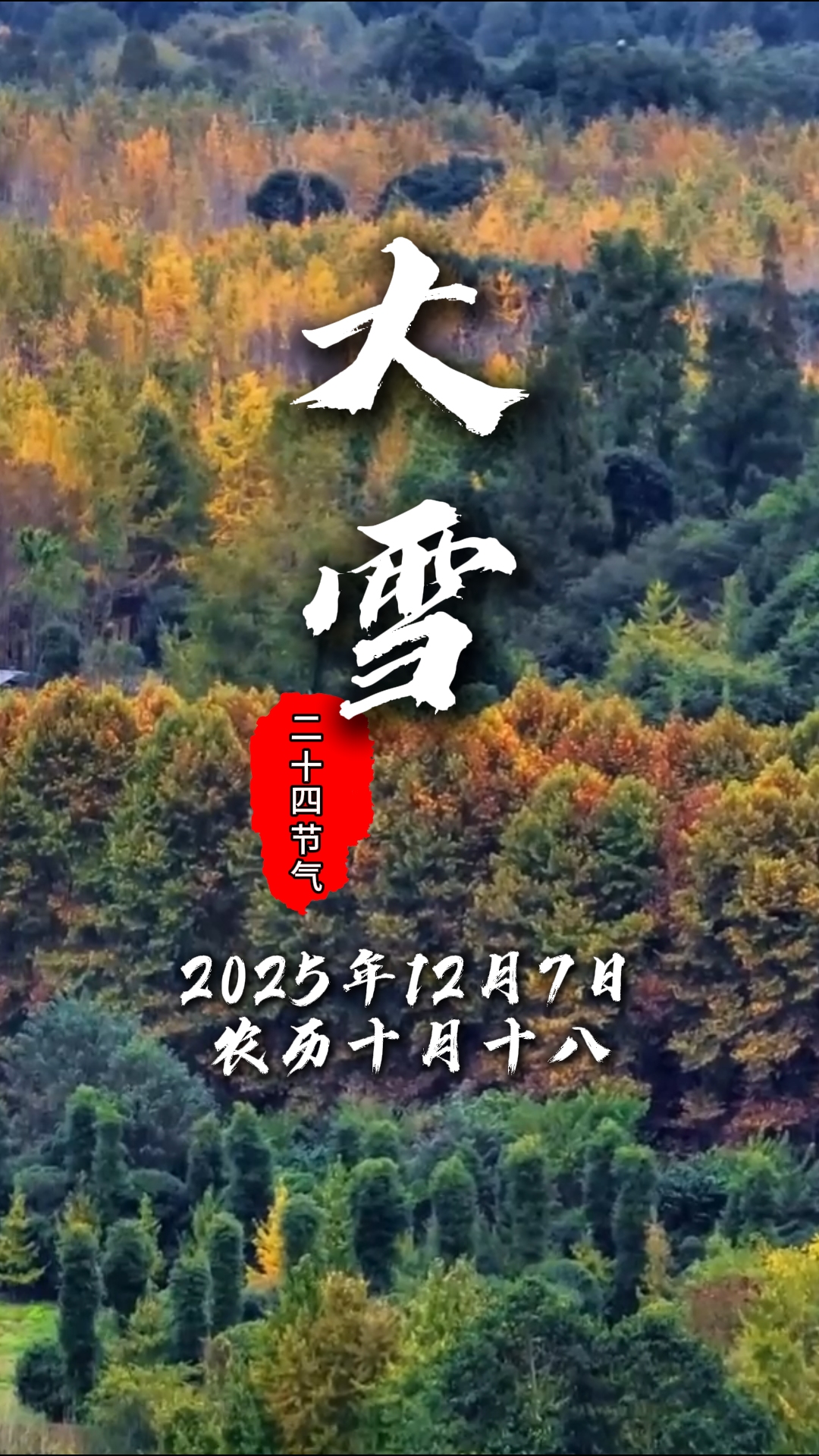 今日大雪#二十四节气#温江四季#这里是温江
