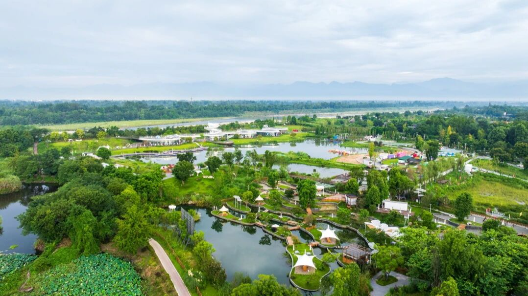 区第十九届人大常委会党组会议暨第五十三次主任会议召开