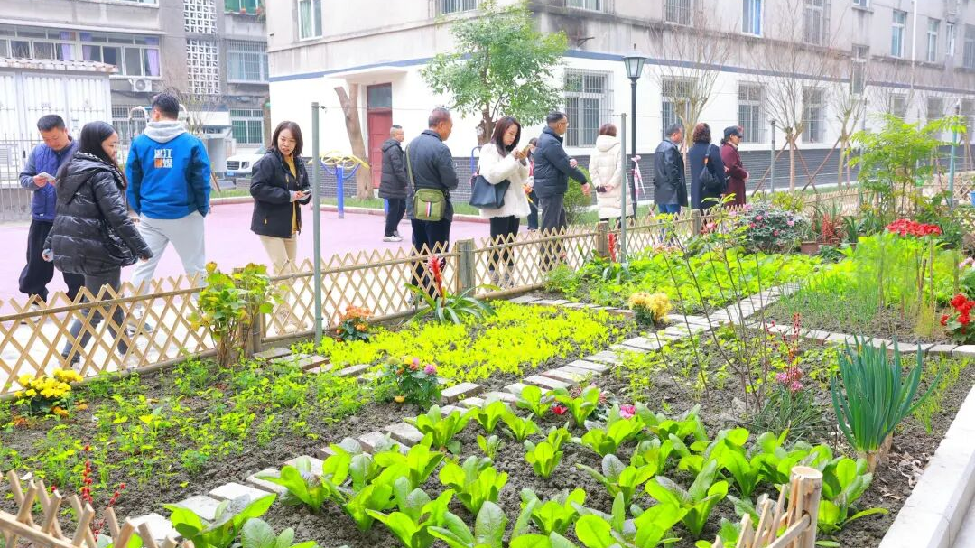 老旧小区“焕新”记！温江“民生实事直通车”又出发了→