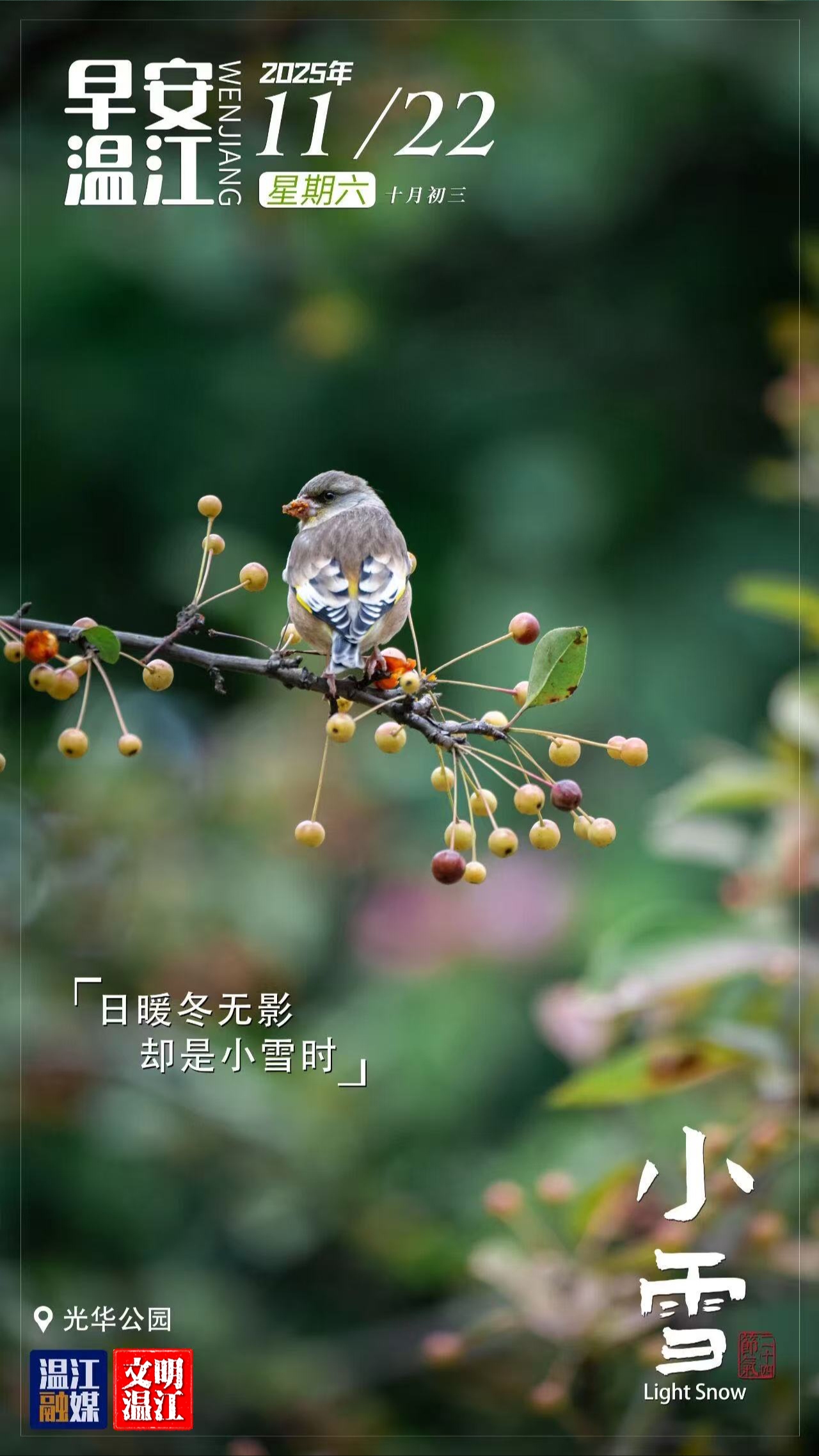 早安温江 | 小雪