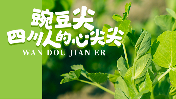 @温江人，上桌！你的“心尖尖”来啦~