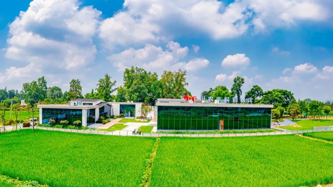 快来尝鲜！“温江造”黑甜玉米汁上市~