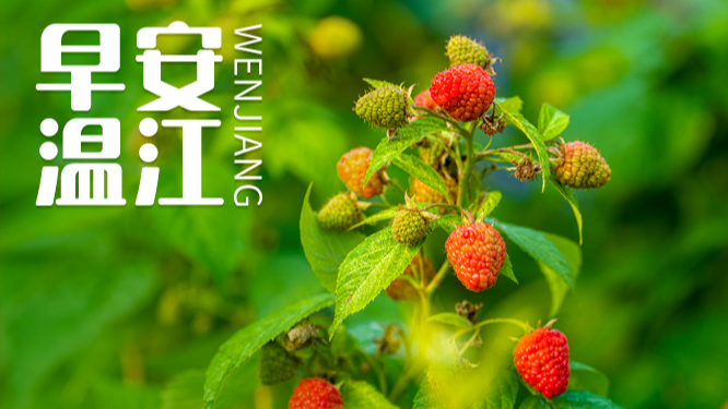 早安温江丨继续免费！成都户籍年满60岁可享