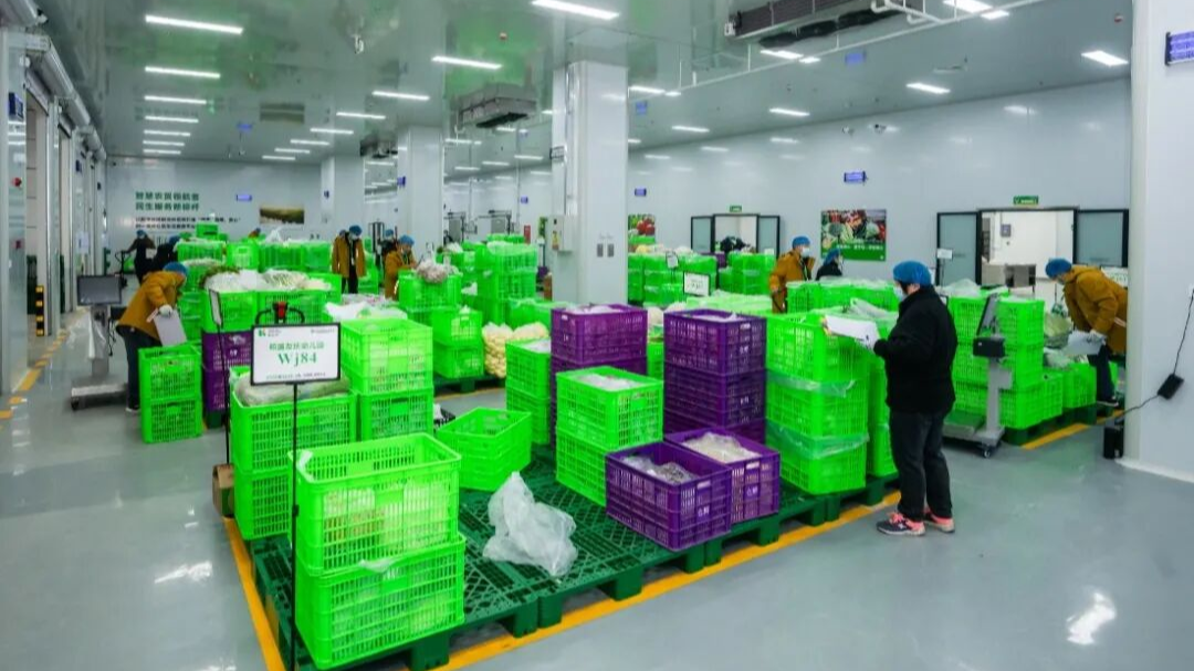 ​深夜分拣 智慧供应！让美味与安全同步抵达