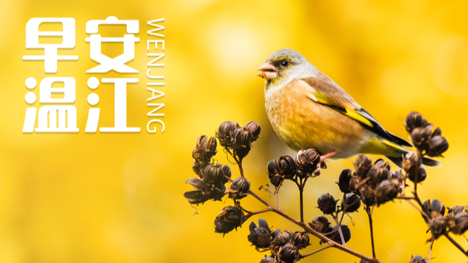 早安温江 | 川AG车主注意！成都二绕高速通行有变