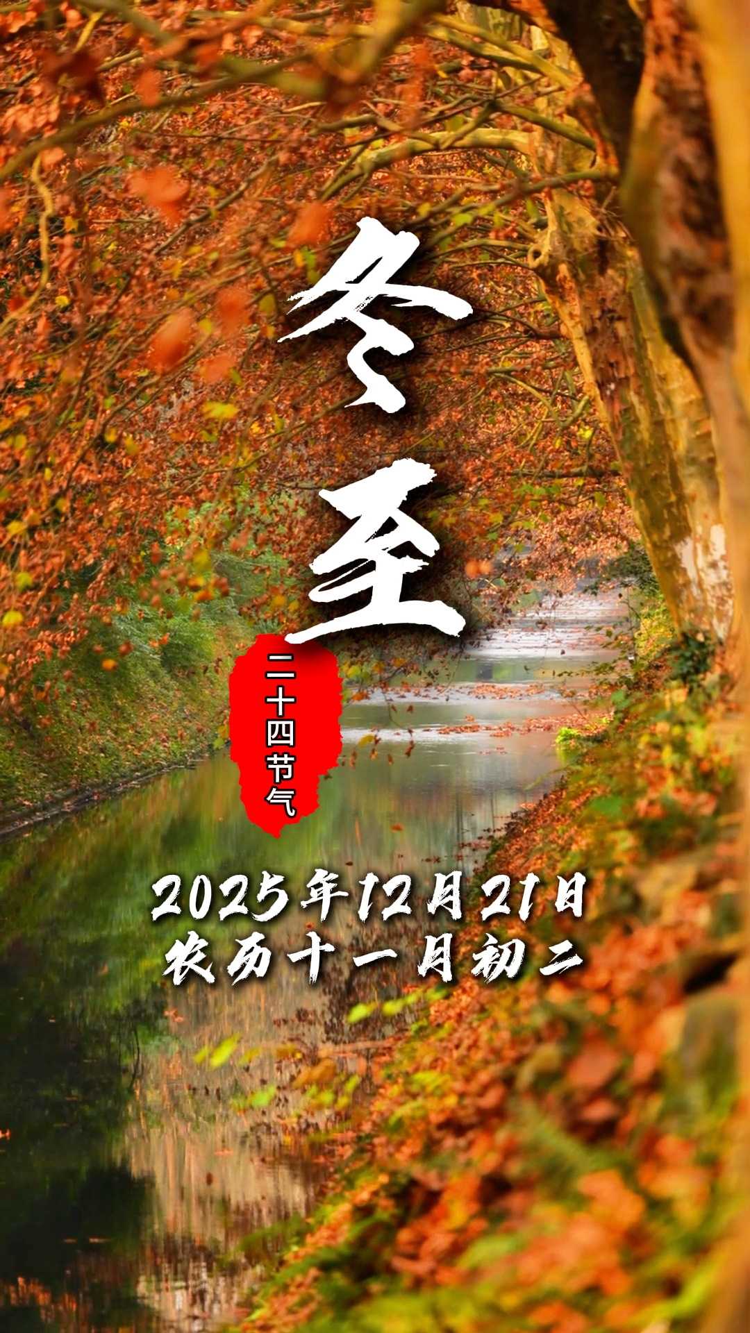 今日冬至#二十四节气#温江一家亲#来了就是温江人#寻味金温江#温江四季#这里是温江