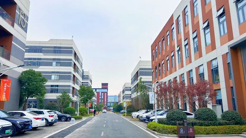 四个月投产，合力攻坚堵点！ 企业点赞“温江效率”