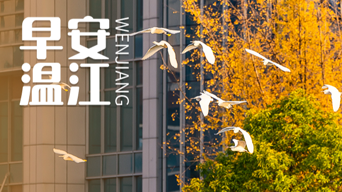 早安温江 | 成都交警最新通告！2026年对这类车采取交管措施