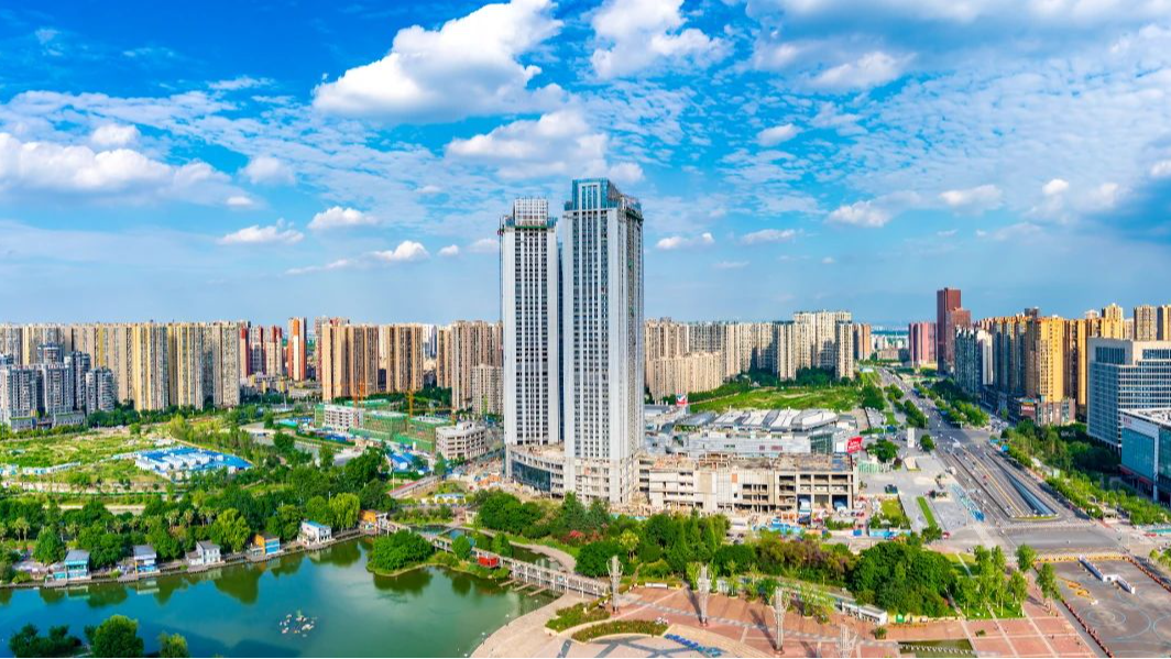 区第十九届人民政府第93次常务会议召开