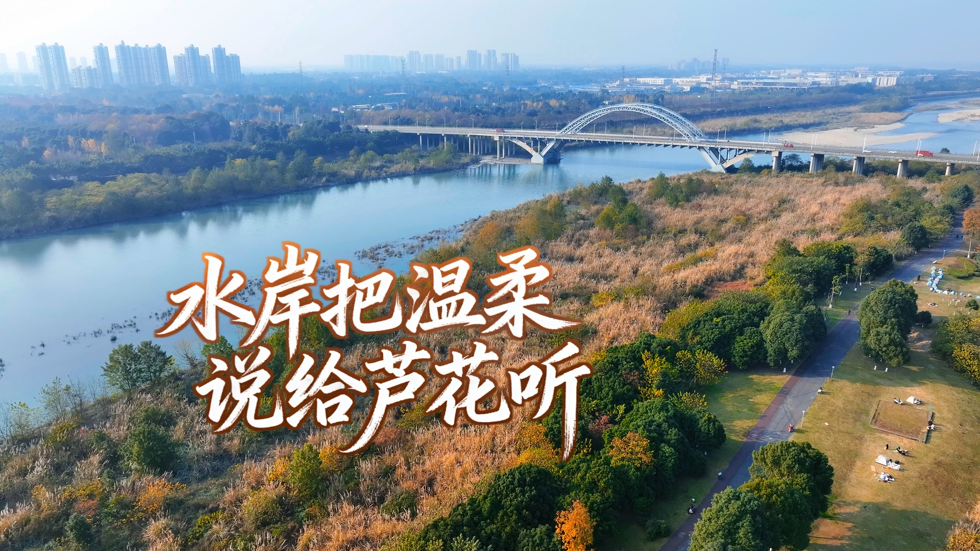 水岸把温柔说给芦花听～