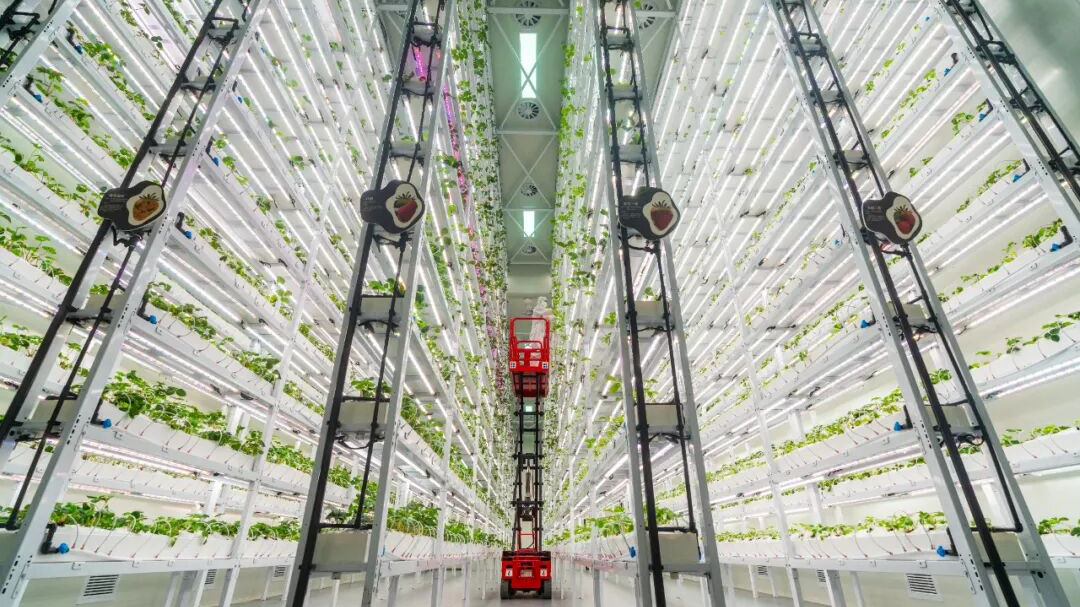 2025，我们有这么多共同的记忆→