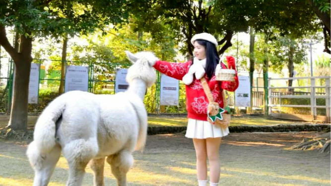 “毛茸茸”的快乐！来温江，开rua→