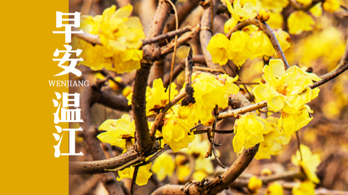 早安温江 | 今早10点！四川100000张景区门票开抢