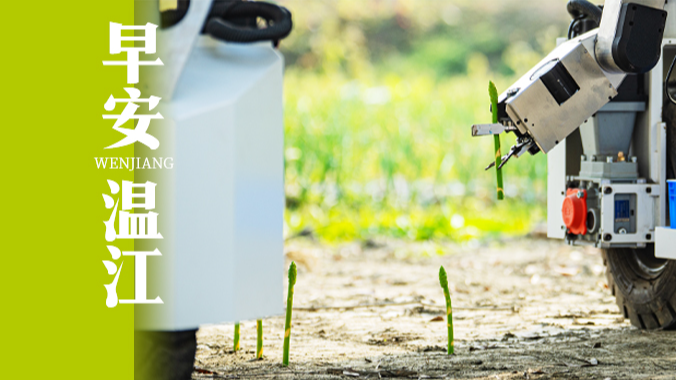 早安温江丨市教育局最新发布！今年寒暑假时间→