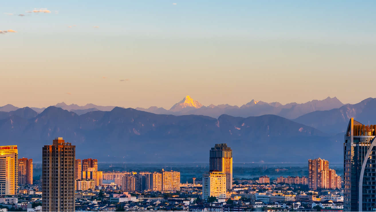 区第十九届人民政府第94次常务会议召开