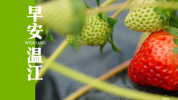 早安温江丨成都这座高铁站，预计今年建成！