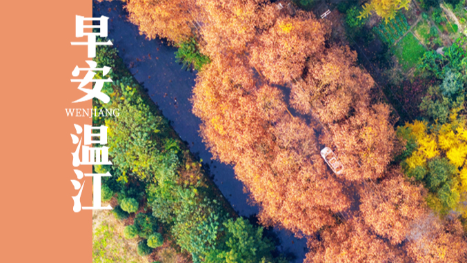 早安温江 | 成都直飞！多条国际航线上新