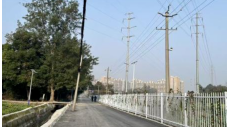 老院新生，正宗社区糍粑店院子的“和美蝶变”