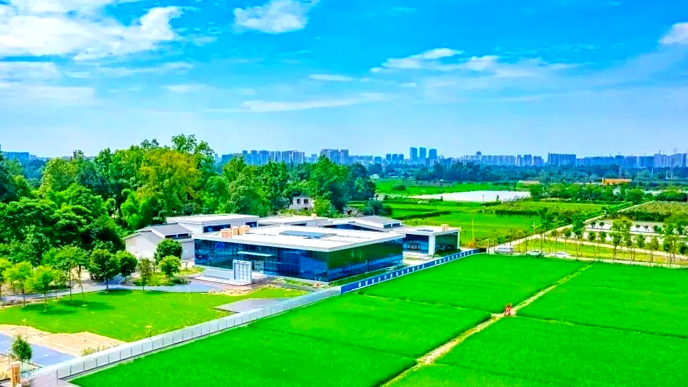 区政协十五届第五十九次党组（扩大）会议暨第四十三次主席会议召开