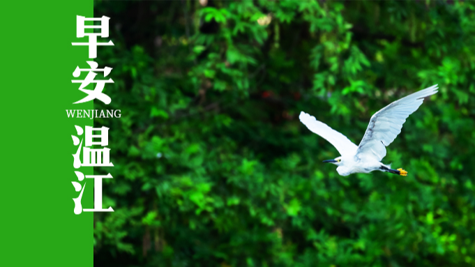 早安温江丨人民币现金收付新规！2月1日起实施