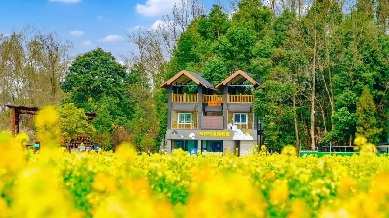 连续三年！温江区气象局荣获全国优秀气象科普教育基地