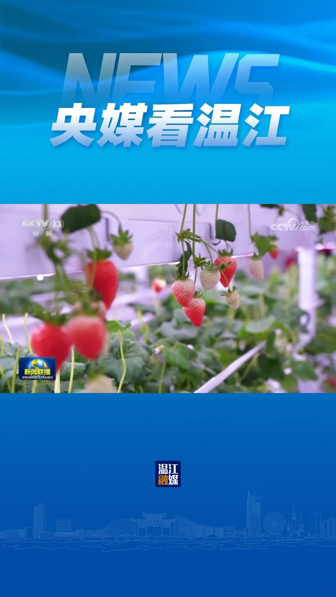 1月18日，央视CCTV1《新闻联播》播出《【“十五五”开好局起好步】做强特色优势产业 全面推进乡村振兴 》。其中报道科技赋能乡村特色产业，今年四川加快推进数字乡村建设，助力农业农村现代化。在成都市温江区，运用AI与物联网技术建设的草莓工厂，通过上百个传感器，实现全程数字化、智能化调控，提升草莓产量。#现代都市农业#植物工厂#科技赋能#乡村振兴#这里是温江#央媒看温江 （视频来源：央视网）