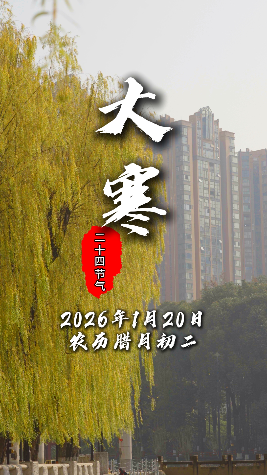 今日大寒#二十四节气#温江四季#文明温江#这里是温江