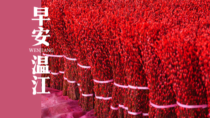 早安温江 | 事关寒假，四川省教育厅最新提醒！