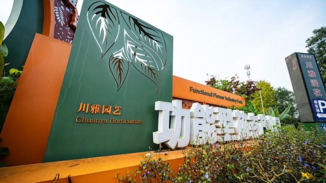 新年“精”气神↑↑↑ ，这份“黄金”年礼请收好→