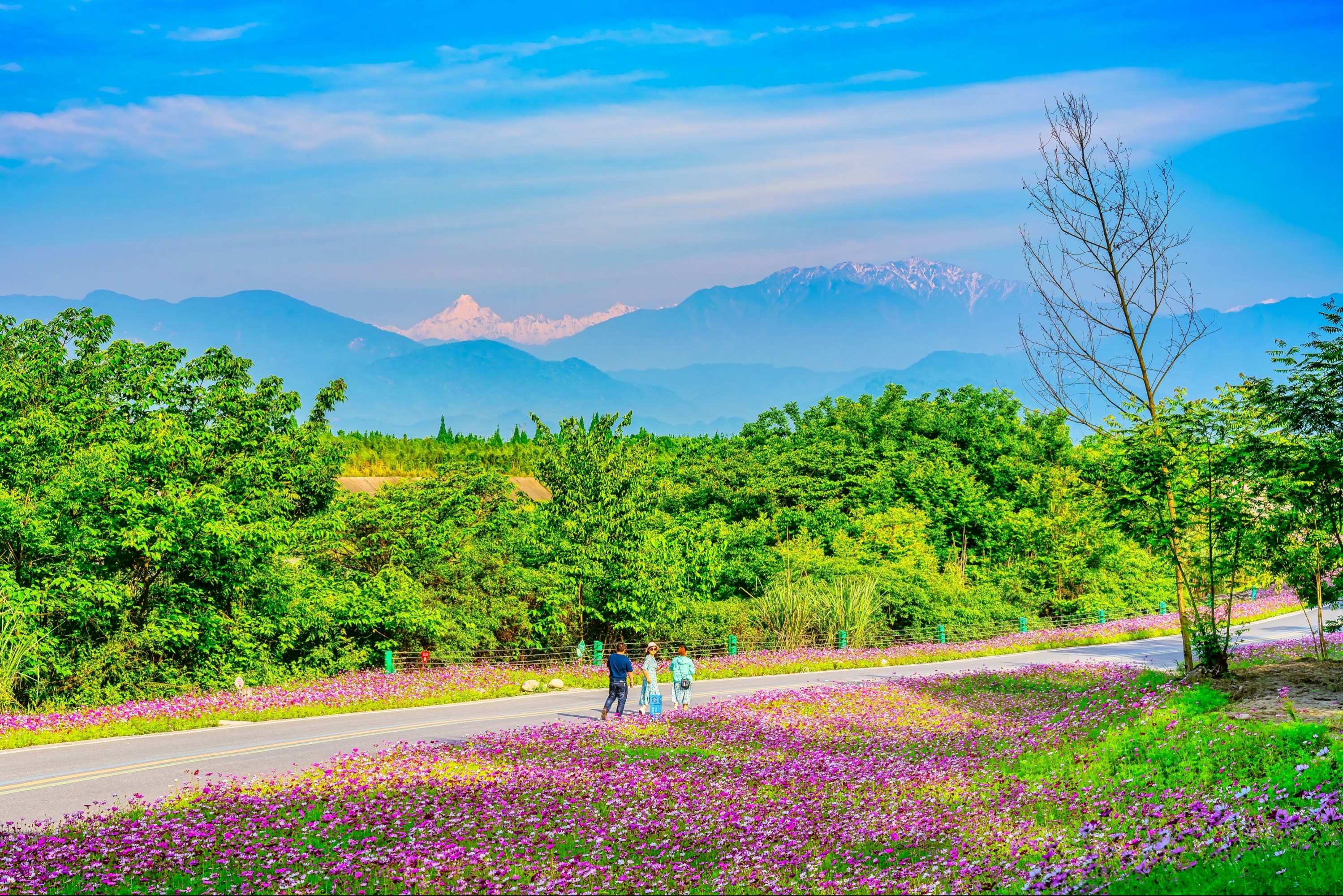  赶快出门！温江遛娃宝藏地图来了！